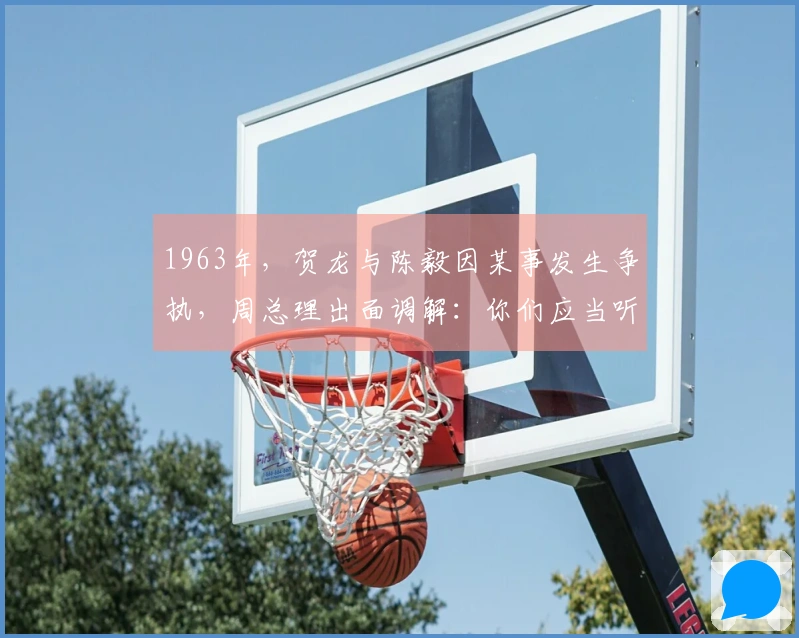1963年，贺龙与陈毅因某事发生争执，周总理出面调解：你们应当听从我的建议